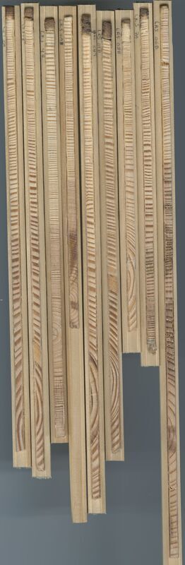 Scan of tree cores