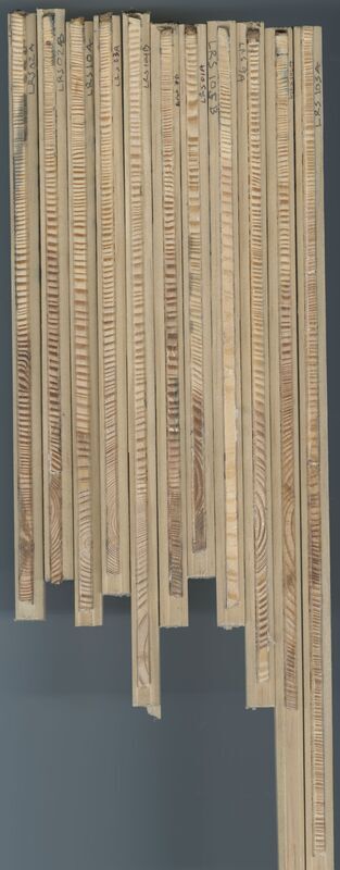 Scan of tree cores